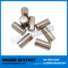 N48 D20X10mm W / Ni Покрытие NdFeB Цилиндрические магниты